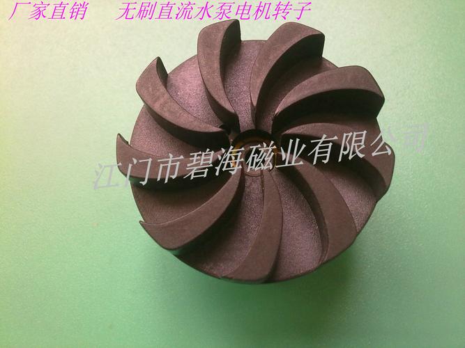 注塑铁氧体水泵电机转子 高品质多规格，为水泵注入强劲持久动力